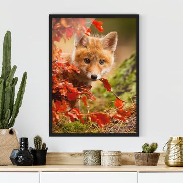 Framed poster - Fox In Autumn