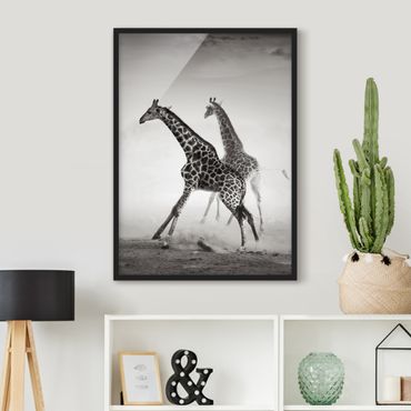 Framed poster - Giraffe Hunt