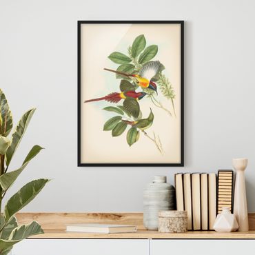 Framed poster - Vintage Illustration Tropical Birds III