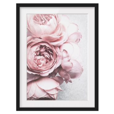 Framed poster - Light Pink Peony Flowers Shabby Pastel