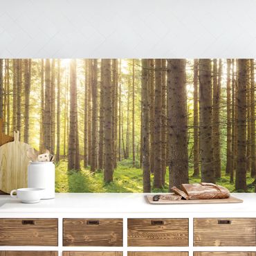 Kitchen wall cladding - Sun Rays In Green Forest