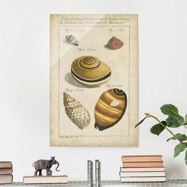 Glass print - Vintage Worm Drawing Yellow