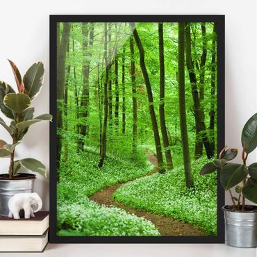 Framed poster - Romantic Forest Track