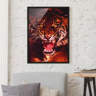 Framed poster - Wild Tiger