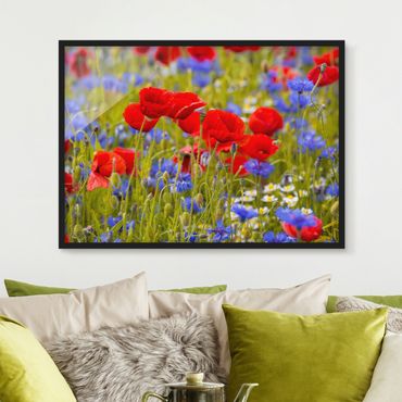 Framed poster - Summer Meadow With Poppies And Cornflowers