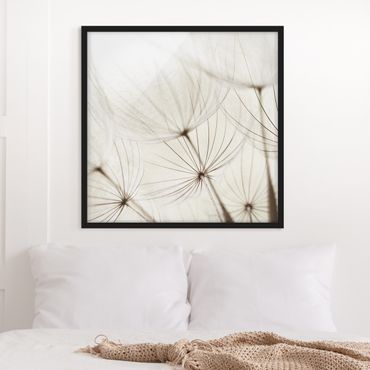 Framed poster - Gentle Grasses