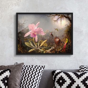 Framed poster - Martin Johnson Heade - Orchid And Three Hummingbirds
