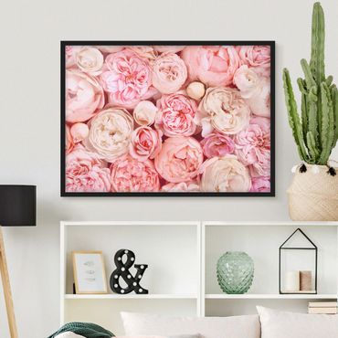 Framed poster - Roses Rosé Coral Shabby