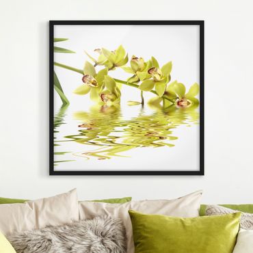 Framed poster - Elegant Orchid Waters