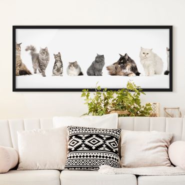 Framed poster - Cat Gang
