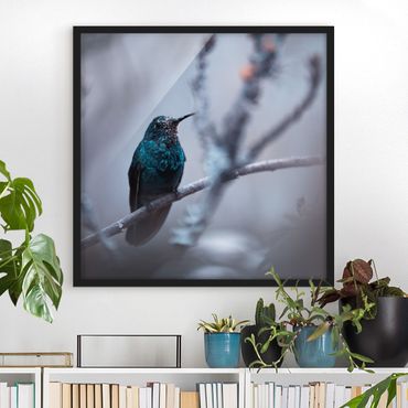 Framed poster - Hummingbird In Winter