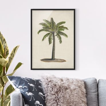 Framed poster - British Palms I