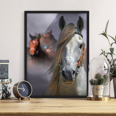 Framed poster - Horses in the Dust