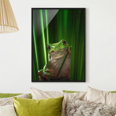 Framed poster - Merry Frog
