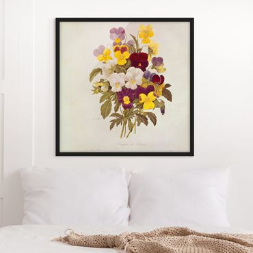 Framed poster - Pierre Joseph Redoute - Bouquet Of Pansies