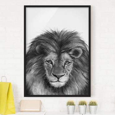 Framed poster - Illustration Lion Monochrome Painting