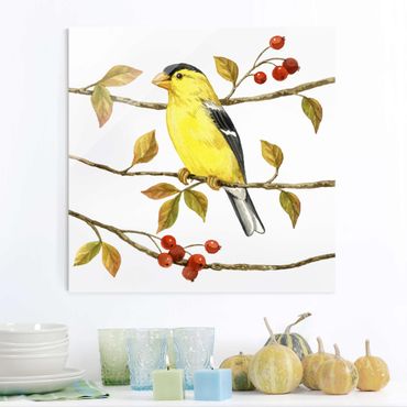 Glass print - Birds And Berries - American Goldfinch