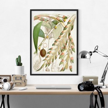Framed poster - Vintage Illustration Tropical Flowers III