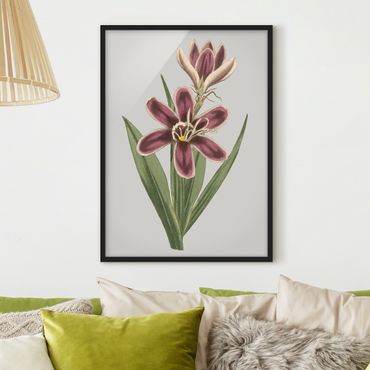 Framed poster - Floral Jewelry II