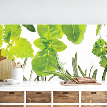 Kitchen wall cladding - Different Herbs
