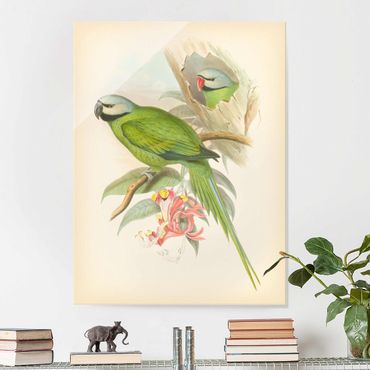 Glass print - Vintage Illustration Tropical Birds II