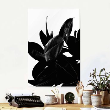 Glass print - Rubber Tree Black And White