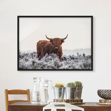 Framed poster - Bison In The Highlands