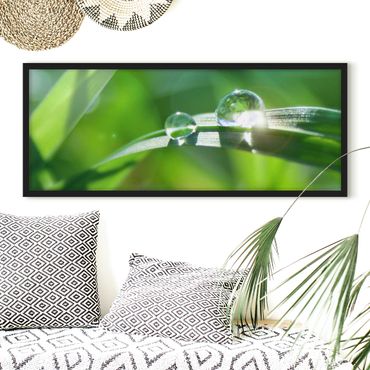 Framed poster - Green Ambiance II