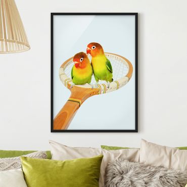 Framed poster - Tennis With Birds