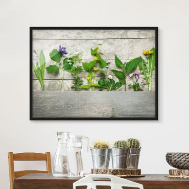 Framed poster - Medicinal and Meadow Herbs