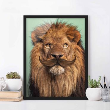 Framed poster - Lion With Beard