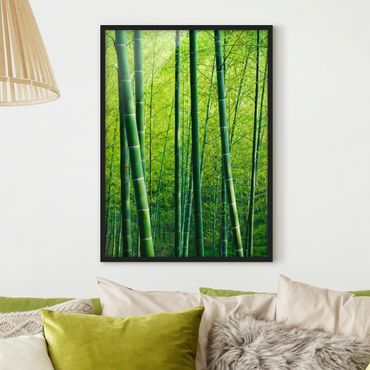 Framed poster - Bamboo Forest