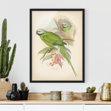 Framed poster - Vintage Illustration Tropical Birds II