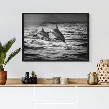 Framed poster - Two Jumping Dolphins