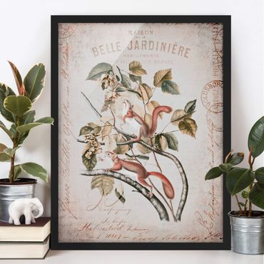 Framed poster - Shabby Chic Collage - Squirrel