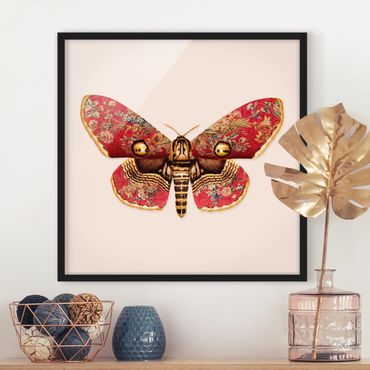 Framed poster - Vintage Moth