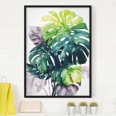 Framed poster - Exotic Foliage - Monstera