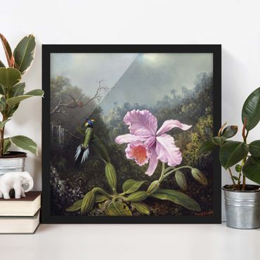 Framed poster - Martin Johnson Heade - Still Life With An Orchid And A Pair Of Hummingbirds