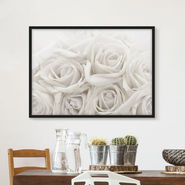 Framed poster - White Roses