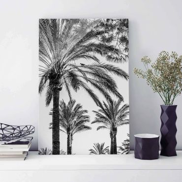 Glass print - Palm Trees At Sunset Black And White