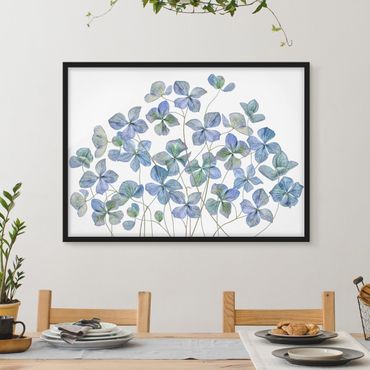 Framed poster - Blue Hydrangea Flowers