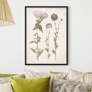 Framed poster - Herbarium In Pink III