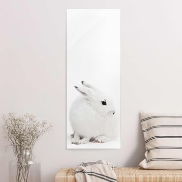 Glass print - Arctic Hare