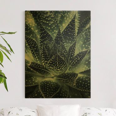 Canvas print gold - Cactus Drizzled With Starlight At Night