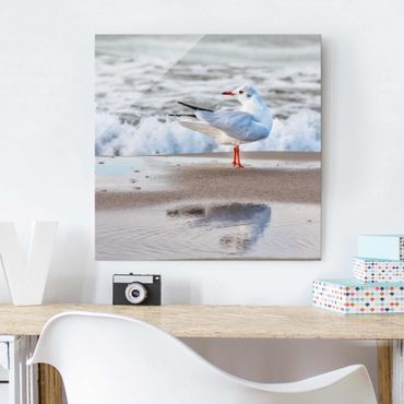 Glass print - Seagull On The Beach In Front Of The Sea