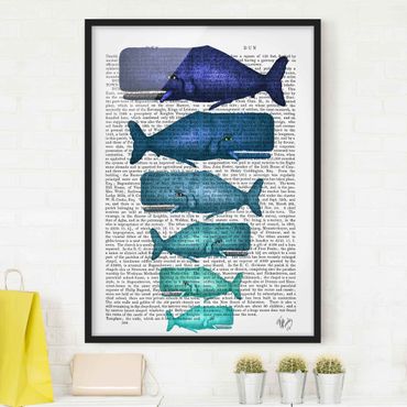 Framed poster - Animal Reading - Whale Family