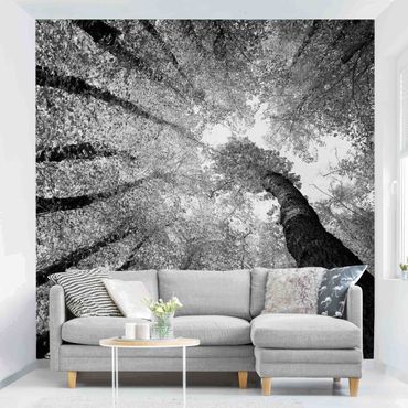 Wallpaper - Trees Of Life II