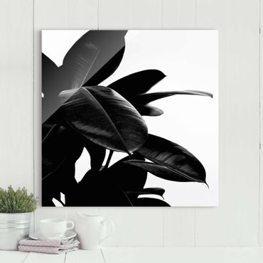 Glass print - Rubber Tree Black And White