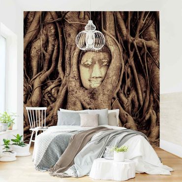 Wallpaper - Buddha In Ayutthaya Lined From Tree Roots In Brown
