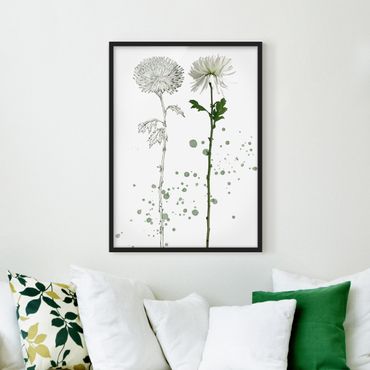 Framed poster - Botanical Watercolour - Dandelion
